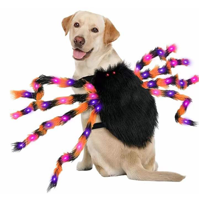 Pet Spider Kostymer