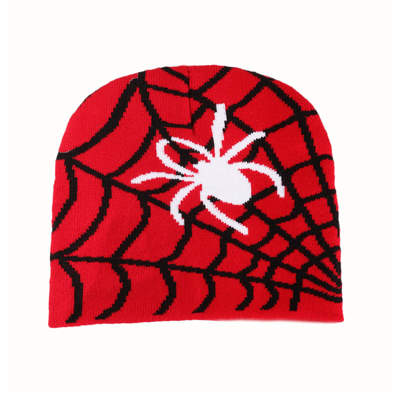 Spindel webbmönster stickad skully cap